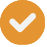 Icon checkmark orange